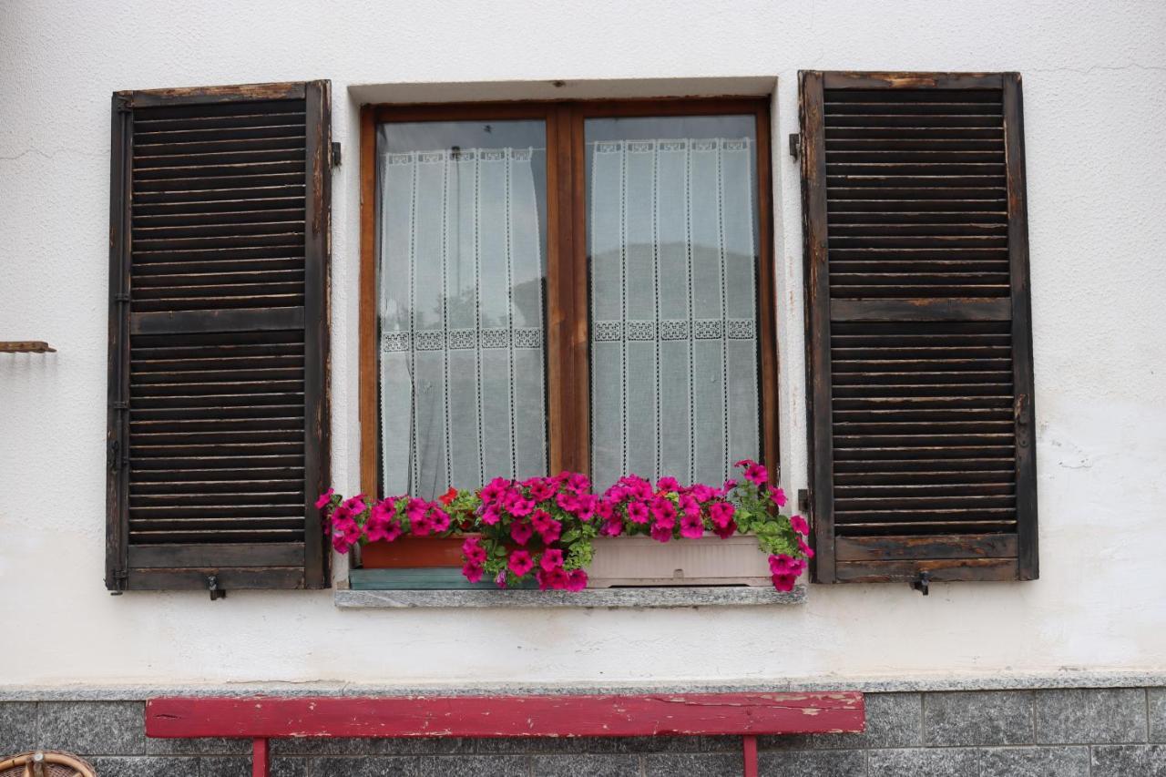 Gabry Guest House Bruno Zewnętrze zdjęcie