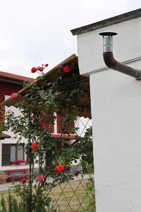 Gabry Guest House Bruno Zewnętrze zdjęcie